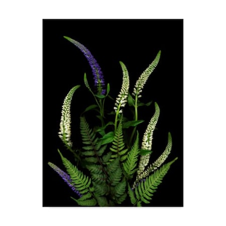 Susan S. Barmon 'Blue And White Spires And Ferns' Canvas Art,18x24